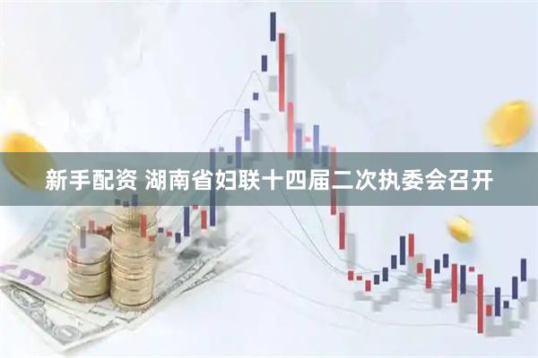 新手配资 湖南省妇联十四届二次执委会召开