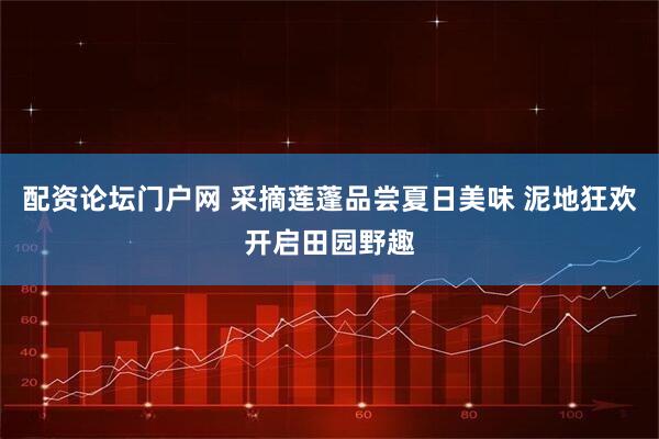 配资论坛门户网 采摘莲蓬品尝夏日美味 泥地狂欢开启田园野趣